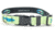 Wingo Outdoors Artisan Dog Collar, Grand Slam, Small/Medium, W-COL-106-SMD
