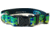 Wingo Outdoors Dog Collar, Mahi Mahi, Small/Medium, W-COL-109-SMD