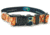 Wingo Outdoors Dog Collar, Redfish, Large/X-Large, W-COL-114-LXL