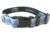 Wingo Outdoors Dog Collar, Tarpon, Small/Medium, W-COL-116-SMD