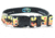 Wingo Outdoors Dog Collar, Yellowstone, Small/Medium, W-COL-117-SMD