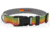 Wingo Outdoors Artisan Dog Collar, Brook Trout, Small/Medium, W-COL-122-SMD