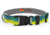Wingo Outdoors Artisan Dog Collar, Mahi Mahi, Small/Medium, W-COL-125-SMD