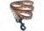 Wingo Outdoors Dog Leash - RepYourWater, Cutthroat Trout, 6 foot length, W-LEA-506-6FT