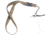 Wingo Outdoors Lanyard - RepYourWater, Tiger Trout, 18 inch length, W-LAN-512-18