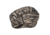Wise Camo Pro Casting Seat, Realtree Max 5, Small, 8WD112BP-733