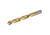 Steelex Plus 31/64in Tin Coated Brad Point Bit, D2329
