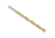 Steelex Plus 5/32in Tin Coated Brad Point Bit, D2308