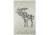 Woolrich Treverton Jacquard Blanket-Moose