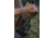 WOOX Furiosa Sauer 100 Chassis, Right Hand, Walnut, SH.CHS001.01