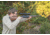 WOOX Wild Man Precision Stock - Remington Model 700 BDL Mini Chassis, Right Hand, Short Action, Walnut, SH.GNS001.03