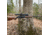 WOOX Wild Man Precision Stock - Remington Model 700, M5 DBM / AICS Mini Chassis, Standard, Left Hand, Short Action, Walnut, SH.GNS001.09LH