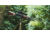 WOOX Wild Man Precision Stock, Savage 110, LA, Tiger Wood, SH.GNS001.38