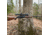 WOOX Wild Man Precision Stock - Tikka T3/ Tikka T3x, Right Hand, Walnut, SH.GNS001.07