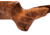 WOOX Superleggera Adjustable Collapsible Rifle Stock