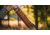 WOOX Vigilante Leather Forend Cover