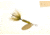 Wordens Rooster Tail In-Line Spinner, 2 1/4in, 1/8 oz, Treble Hook, Bumble Bee, 208-BU