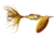 Wordens Rooster Tail Minnow In-Line Spinner, Single Hook Sz 1/8oz, Brown Trout, 12/Pkg THE 2208 &amp; 2210 ARE TREBLE HOOK, 2208-BRTRT