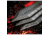 World Knife Throwing League Barbarian Throwing Knives