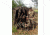 X-Stand X-Blind Ground Blind, Camo, 75in x 79in x 51in XAHB104