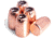 X-Treme Bullets .45 ACP 200 Grain Hollow Point Pistol Ammo, 100 Rounds, XB45XD200B100