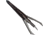 Xecutioner Demon Hunter Rake Broadheads