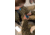 Xmetix LTD Tak710 Training Unit Tourniquet, Blue, Tac 711