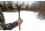 XtraArm Solo Height Adjustment Attachment
