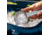 Yeti Scoop, Ice, 21180000003