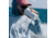 Yeti 16 oz Travel Bottle w/Commuter Cap
