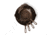 Yeti Carbon Steel Skillet 12