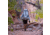Yeti Mens Skala Backpack