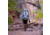 Yeti Mens Skala Backpack