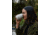 Yeti Rambler 10 oz Wine Tumbler w/DuraSip Ceramic Lining