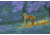 Shinenyx AIM1C 384 3.6x98mm Thermal Imaging Rifle Scope, 384x288, Black, AIM1C