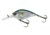 Yo-Zuri 3DB Crank 1.5 MR Lure, 60mm, Real Gizzard Shad, R1353 RGZS