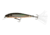 Yo-Zuri 3DB Jerkbair Lure, 90mm, Prism Tennessee Shad, R1103 PTSH