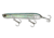 Yo-Zuri 3DB Pencil Popper Lure, 135mm, Real Gizzard Shad, R1373 RGZS