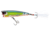 Yo-Zuri 3DB Popper Lure, 75mm, Prism Fire Tiger, R1101 PFT