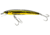 Yo-Zuri Pins Minnow Floating Lure, 90mm, Gold/Black, F1163 GBL