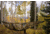 Yukon Outfitters Stealth Hammock, Multicam, AP-stealth1