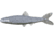 Yum Ned Minnow Bait, 3in, Gray Pearl Black Flk, YNM3369
