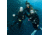 Z-Bolt Three Color Scuba Team Kit, Tri-Color, Medium, SCUBA-TEAM