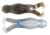 Z-man Goat Toadz Soft Bait, 3 pack, 4 in, The Deal, GTT-320PK3