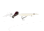 Z-man Hellraizer Topwater Hard Bait Lure, Snow, 4in, 3/8oz, HR4-01
