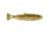 Z-man Mulletron Swimbait Lure, 3 Pack, Houdini, 4in, MT4-267PK3