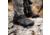 Zamberlan Adak 10 GTX RR Hiking/Backpacking Boot - Mens, Black Camo, 9, 0992ZBCM-43-9