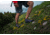 Zamberlan Free Blast Suede Hiking Shoes - Mens, PFAS-Free, Denim, 10.5, 0217ZDNM-45-10.5
