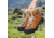 Zamberlan Vioz Lux GTX RR Backpacking Boots - Womens, Waxed Camel, Medium, 10, 1996CMW-Medium-10