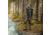 Zamberlan Cormons GTX Hiking/Backpacking Boot - Mens